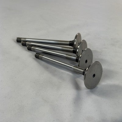 TRW Einlassventile 4x 33026 068109601 VW Golf Jetta – Bild 3