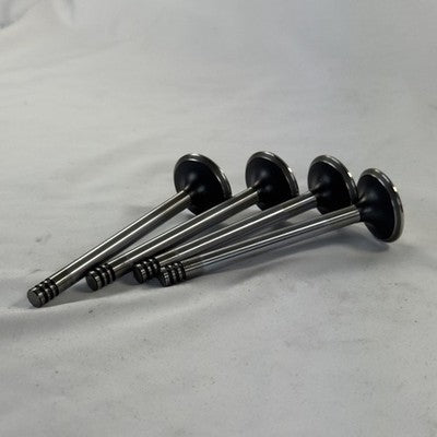 TRW Einlassventile 4x 33026 068109601 VW Golf Jetta – Bild 4