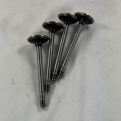 TRW Einlassventile 4x 33026 068109601 VW Golf Jetta – Bild 6