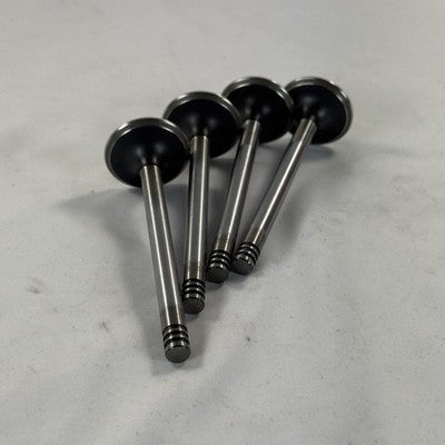 TRW Einlassventile 4x 33026 068109601 VW Golf Jetta – Bild 5